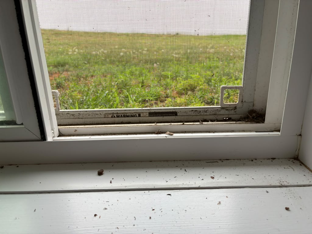 Window tracks and sills cleared of debris