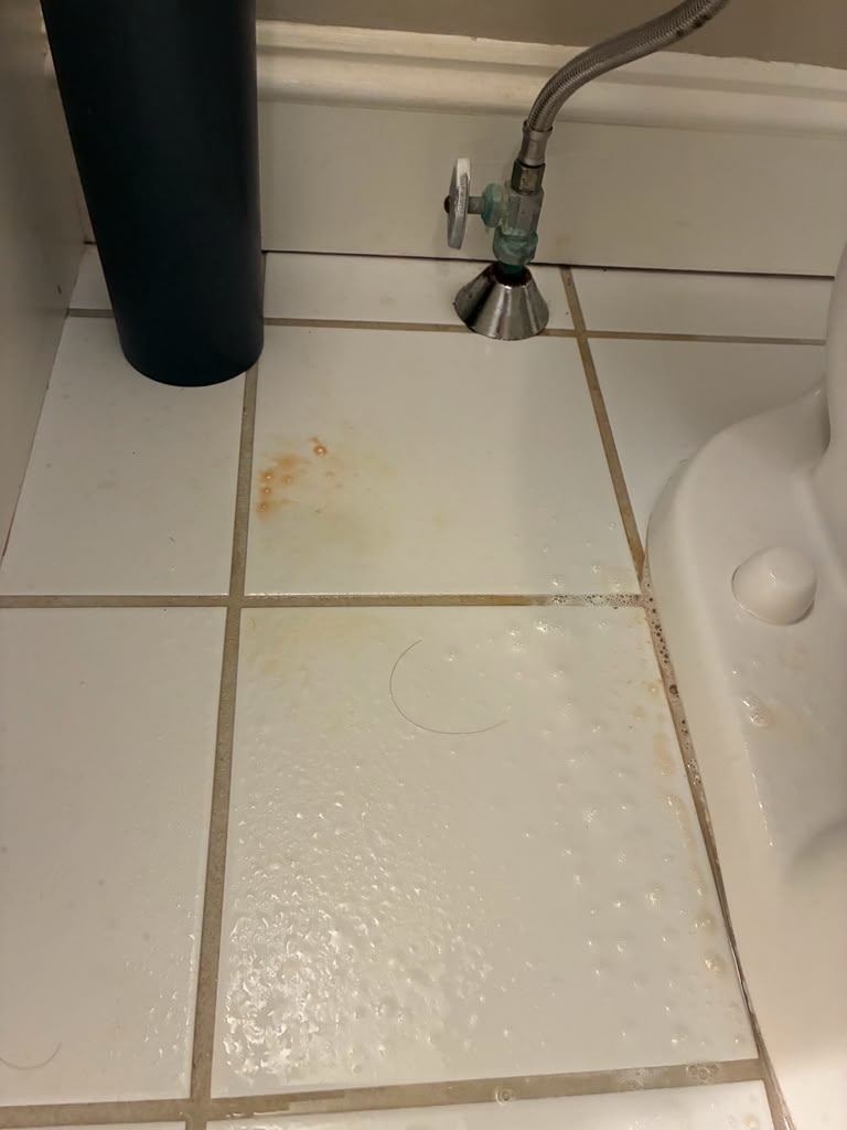 Shower tile and grout descaled