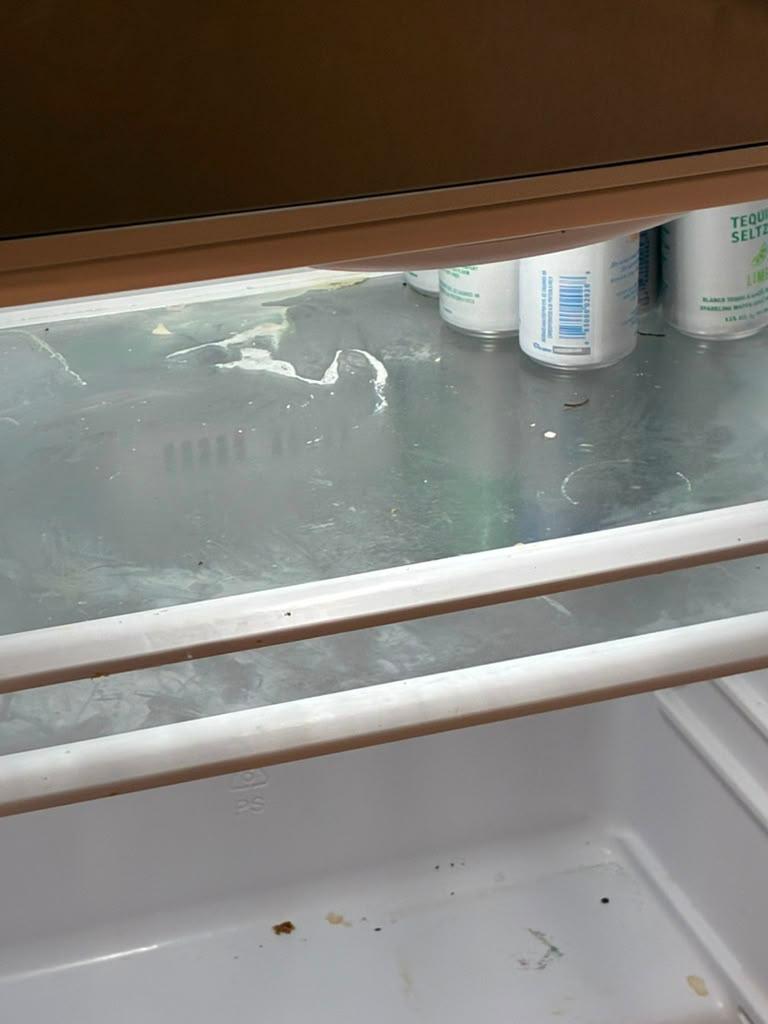 Glass shelves before sanitizing