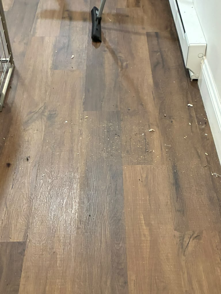 Post-renovation debris removed from floors